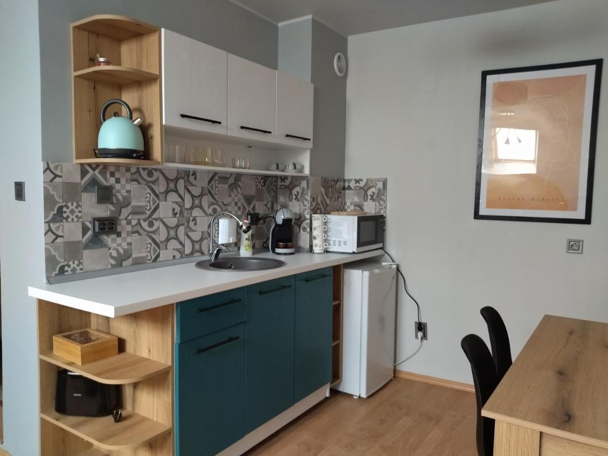 Altavista Mountain Apartment ساموكوف المظهر الخارجي الصورة